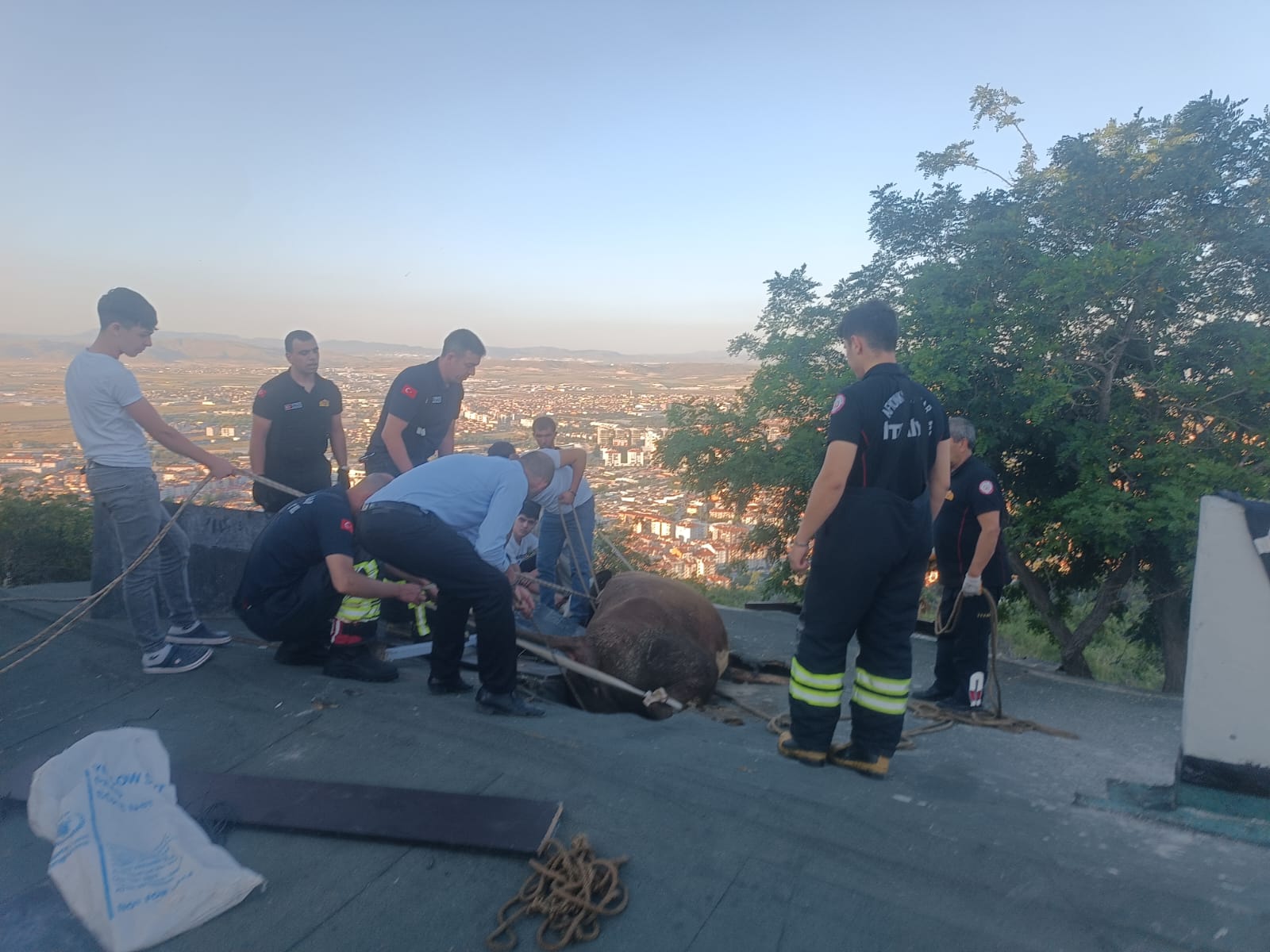 Afyonkarahisar’da bir evin çatısında sıkışan ineği itfaiye kurtardı